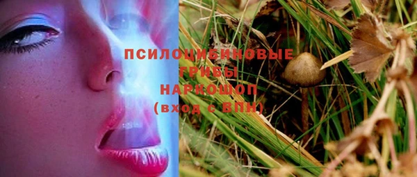 спайс Майский
