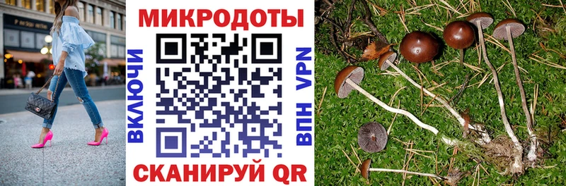 Галлюциногенные грибы GOLDEN TEACHER  МЕГА рабочий сайт  Медвежьегорск 